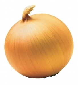Security Onion ??